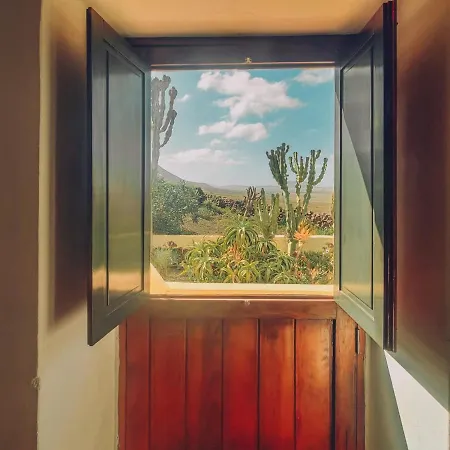 Dama De Famara * 테기세