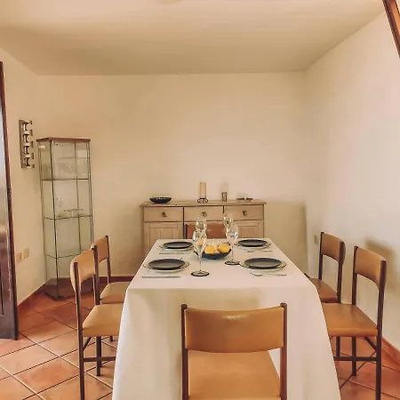 Dama De Famara * 테기세